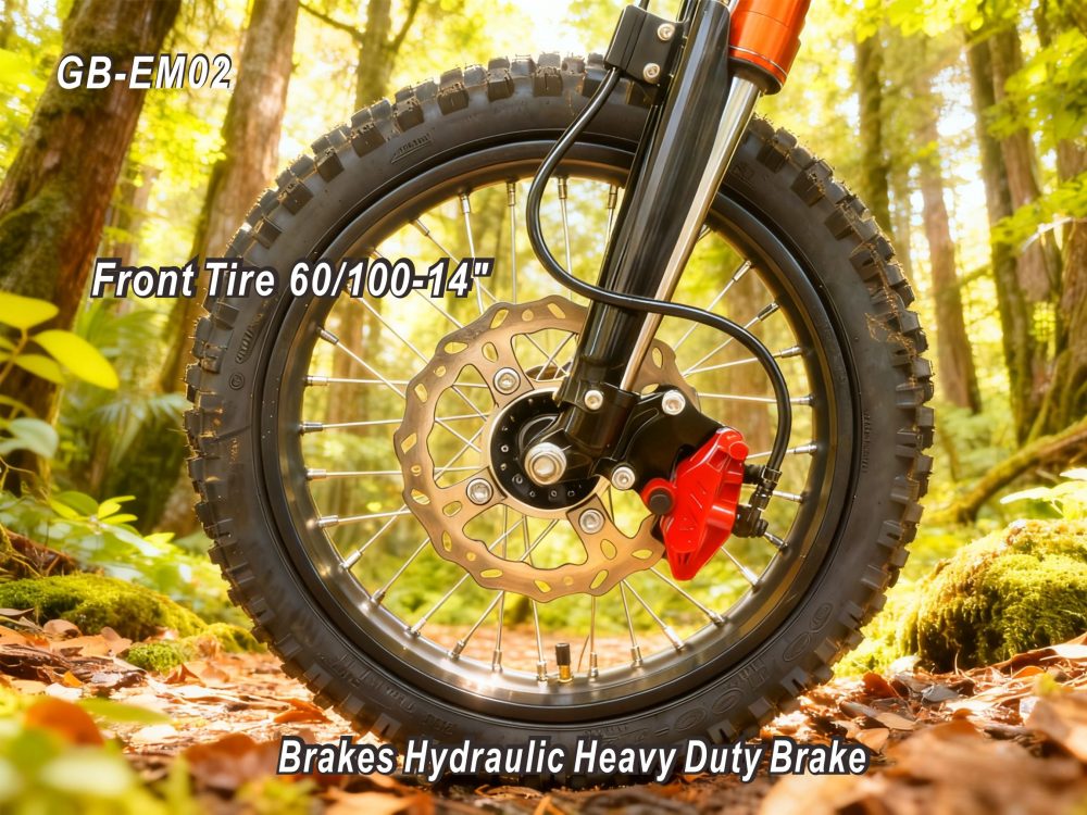 3000W 48V Electric Dirt Bike for Adults, 55KM/H Top Speed & IPX6 Waterproof
