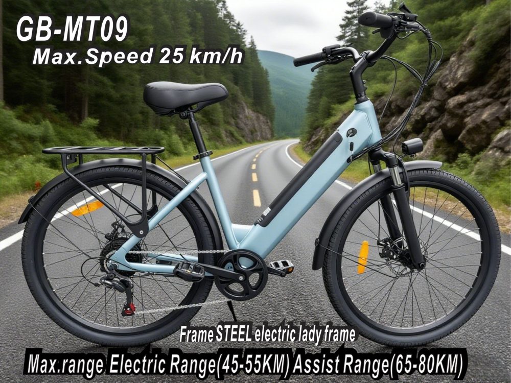 Electric Bike 36V 250W Brushless Motor 26" Long Range 65-80KM 13AH Lithium Battery Shimano 7 Speed Disc Brake