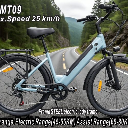 Electric Bike 36V 250W Brushless Motor 26" Long Range 65-80KM 13AH Lithium Battery Shimano 7 Speed Disc Brake