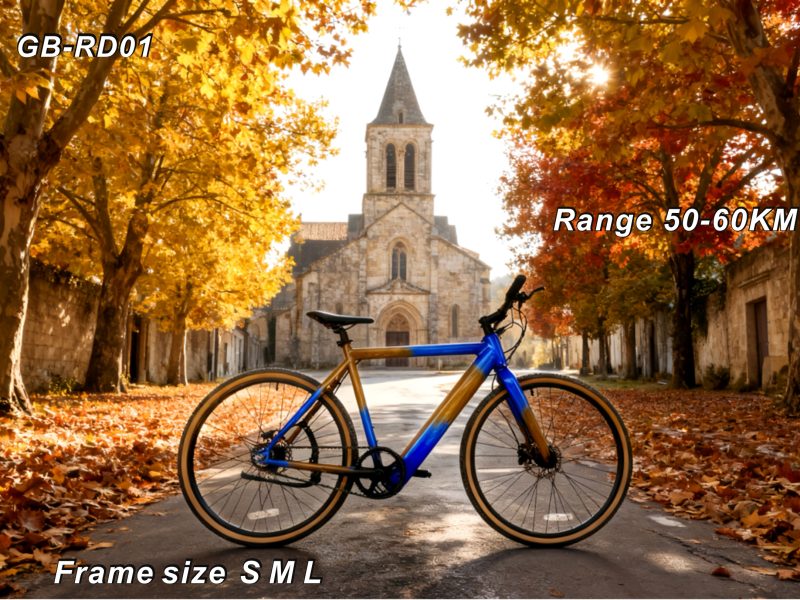700C Electric Bicycle – Essential for Commuting with 250W Power, 36V 10.4AH Battery & 50-60KM Long Range