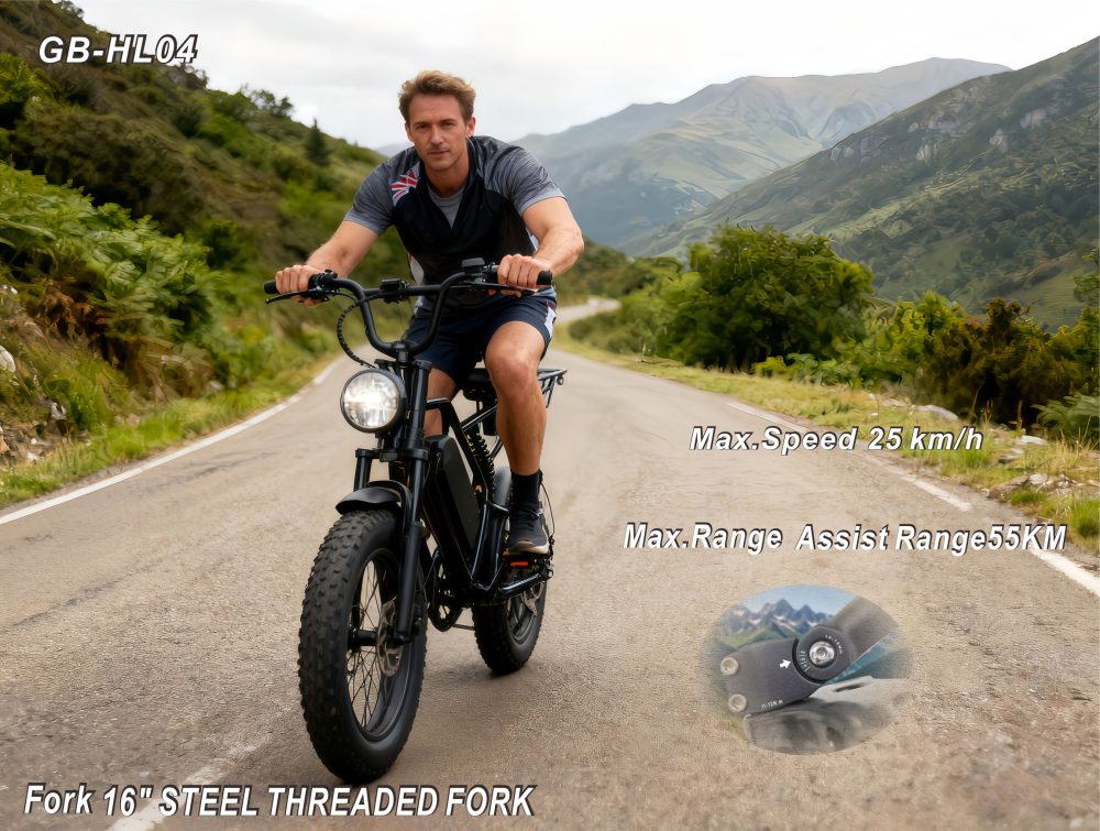Cross-border Dual-Use Electric Bicycle, 48V500W Brushless Motor, 55KM Long Range, Shimano 7-Speed, Mechanical Disc Brakes, 16-Inch Wide Tires, Suitable for Both Mountain and Road Use.