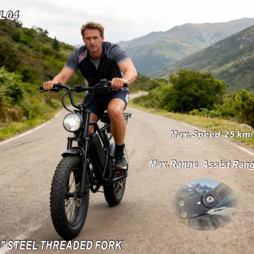 Cross-border Dual-Use Electric Bicycle, 48V500W Brushless Motor, 55KM Long Range, Shimano 7-Speed, Mechanical Disc Brakes, 16-Inch Wide Tires, Suitable for Both Mountain and Road Use.