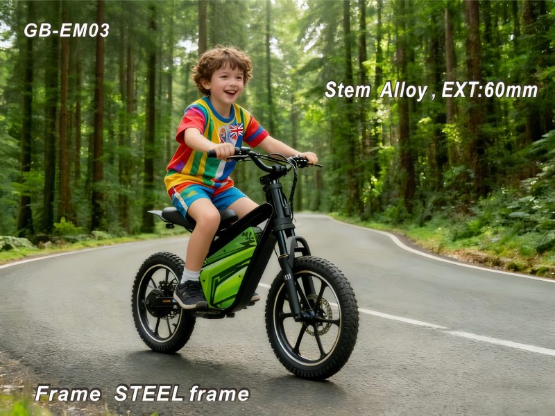 All-round electric-assisted mountain bike: 36V/500W; brushless technology for enhanced power; boasts a long range of 50–70 KM; equipped with 16-inch suspension front forks and mechanical disc brakes. Designed Specifically for Children