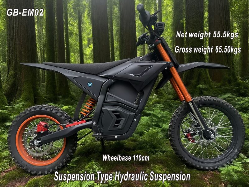 1 3000W 48V Electric Dirt Bike for Adults, 55KM/H Top Speed & IPX6 Waterproof