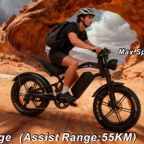 48V 750W Electric Bike 20"*4.0 Fat Tire 7 Speed Shimano Hydraulic Disc Brake 48V13AH Lithium Battery 55KM Range 50km/h Off Road Commuter E-Bike