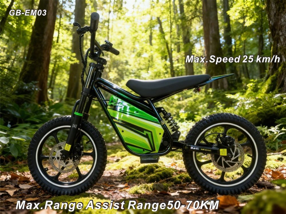 All-round electric-assisted mountain bike: 36V/500W; brushless technology for enhanced power; boasts a long range of 50–70 KM; equipped with 16-inch suspension front forks and mechanical disc brakes. Designed Specifically for Children