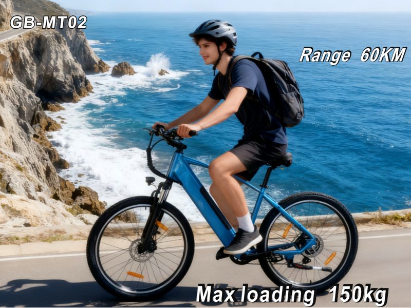 2 60KM Long Range 25KM/H Commuter E-Bike S/M Frame