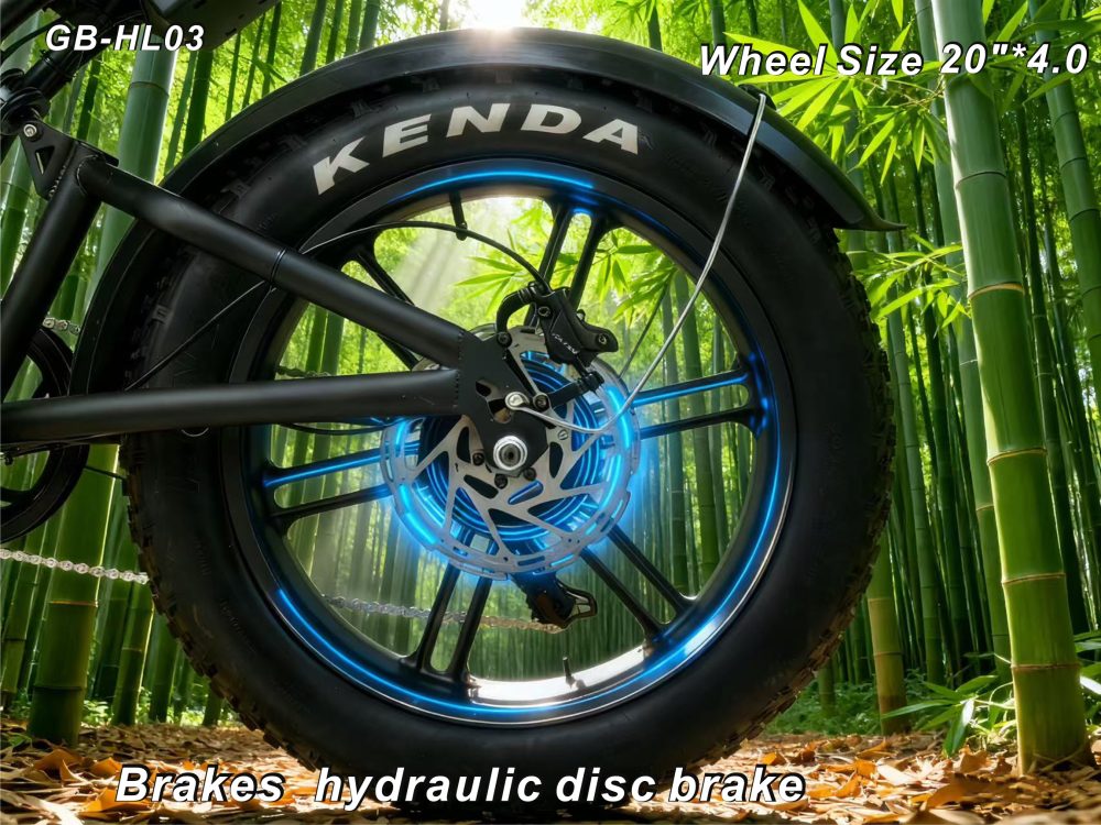 48V 750W Electric Bike 20"*4.0 Fat Tire 7 Speed Shimano Hydraulic Disc Brake 48V13AH Lithium Battery 55KM Range 50km/h Off Road Commuter E-Bike