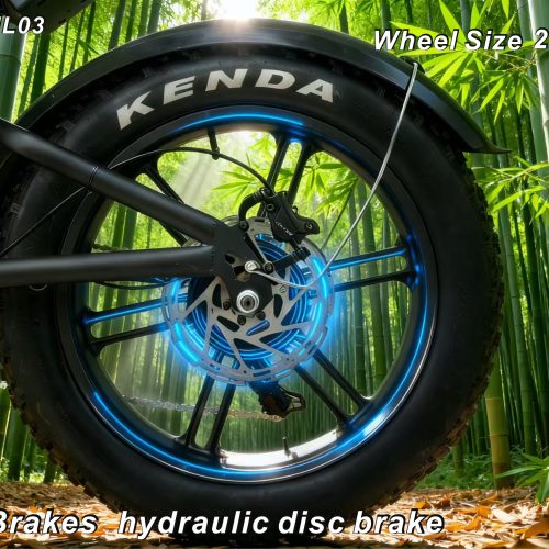 48V 750W Electric Bike 20"*4.0 Fat Tire 7 Speed Shimano Hydraulic Disc Brake 48V13AH Lithium Battery 55KM Range 50km/h Off Road Commuter E-Bike