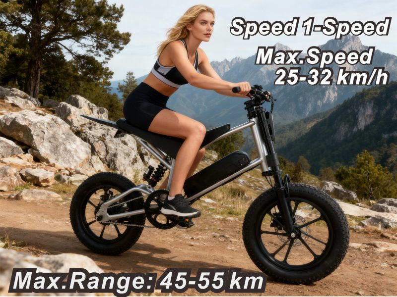 4 36V 350W Electric Off-Road Bike 14" Steel Frame with Suspension Fork - 45-55.5km Range 25km/h E-Mountain Bike
