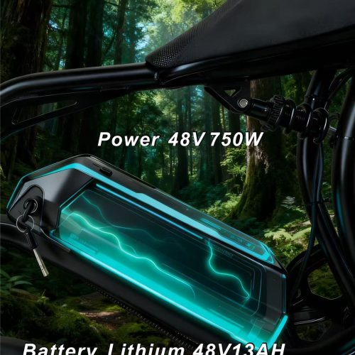 48V 750W Electric Bike 20"*4.0 Fat Tire 7 Speed Shimano Hydraulic Disc Brake 48V13AH Lithium Battery 55KM Range 50km/h Off Road Commuter E-Bike