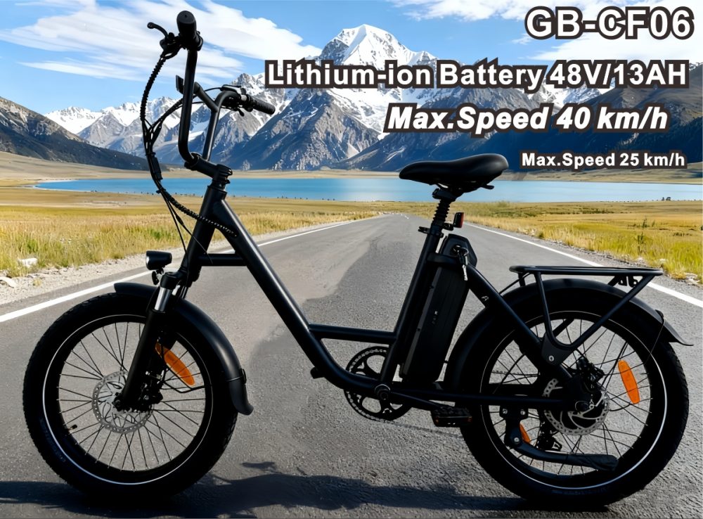 36V Brushless Electric Bike 48V13AH 80KM Max Range Shimano 7 Speed Hydraulic Disc Brake 25km/h