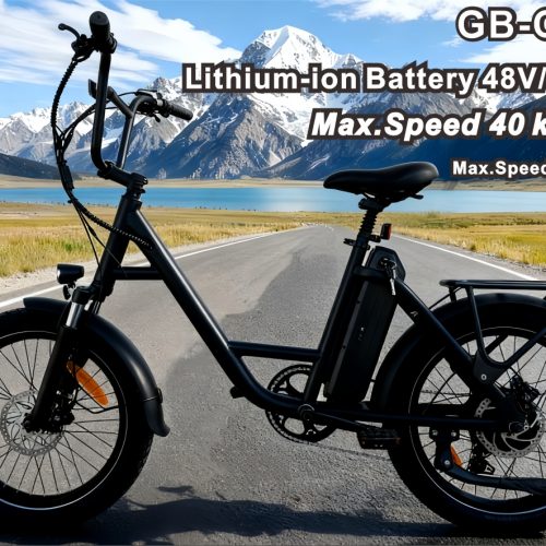 36V Brushless Electric Bike 48V13AH 80KM Max Range Shimano 7 Speed Hydraulic Disc Brake 25km/h