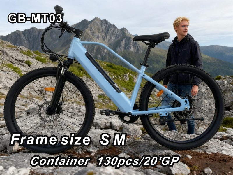 26inch Electric Bike 350W 36V 20AH