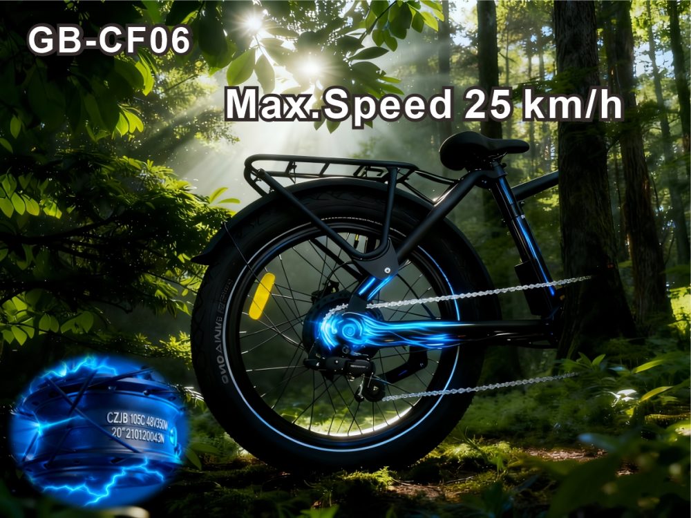 36V Brushless Electric Bike 48V13AH 80KM Max Range Shimano 7 Speed Hydraulic Disc Brake 25km/h