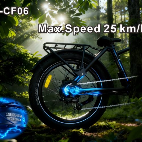 36V Brushless Electric Bike 48V13AH 80KM Max Range Shimano 7 Speed Hydraulic Disc Brake 25km/h